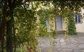 Il Pezzatino